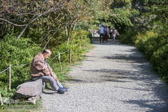 باغ گیاه شناسی ملی ایران