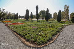 باغ گیاه شناسی ملی ایران