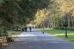 باغ گیاه شناسی ملی ایران