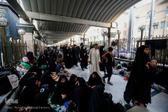 کربلای معلی ۶ روز مانده تا اجتماع جهانی اربعین