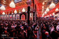 کربلای معلی ۶ روز مانده تا اجتماع جهانی اربعین