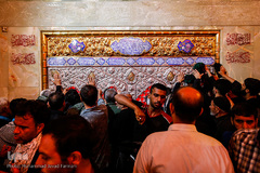 کربلای معلی ۶ روز مانده تا اجتماع جهانی اربعین