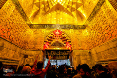 کربلای معلی ۶ روز مانده تا اجتماع جهانی اربعین