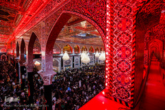 کربلای معلی ۶ روز مانده تا اجتماع جهانی اربعین