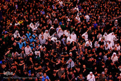 کربلای معلی ۶ روز مانده تا اجتماع جهانی اربعین