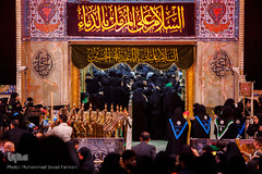 کربلای معلی ۶ روز مانده تا اجتماع جهانی اربعین