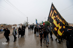 راهپیمایی اربعین حسینی مسیر نجف، کربلا