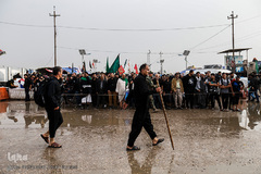 راهپیمایی اربعین حسینی مسیر نجف، کربلا