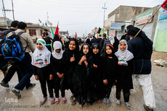 راهپیمایی اربعین حسینی مسیر نجف، کربلا