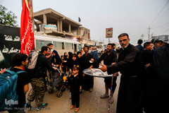 راهپیمایی اربعین حسینی مسیر نجف، کربلا