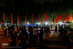 راهپیمایی اربعین حسینی مسیر نجف، کربلا