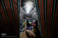 راهپیمایی اربعین حسینی مسیر نجف، کربلا