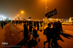 راهپیمایی اربعین حسینی مسیر نجف، کربلا