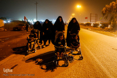 راهپیمایی اربعین حسینی مسیر نجف، کربلا