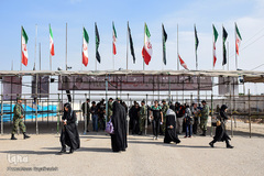 ارادتی که پیر و جوان نمی شناسد