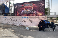 ارادتی که پیر و جوان نمی شناسد