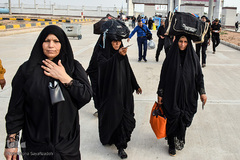 ارادتی که پیر و جوان نمی شناسد