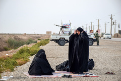 ارادتی که پیر و جوان نمی شناسد