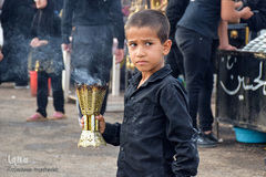 ارادتی که پیر و جوان نمی شناسد