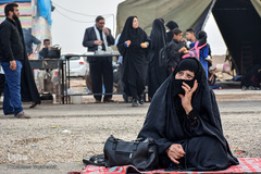 ارادتی که پیر و جوان نمی شناسد