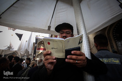 حرم امام علی(ع) در آستانه اربعین حسینی