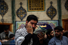 حرم امام علی(ع) در آستانه اربعین حسینی