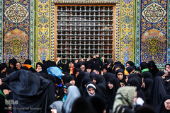 حرم امام علی(ع) در آستانه اربعین حسینی