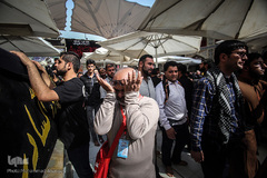 حرم امام علی(ع) در آستانه اربعین حسینی