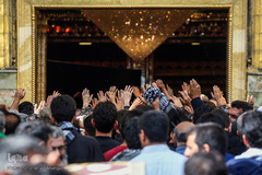 حرم امام علی(ع) در آستانه اربعین حسینی