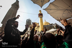 حرم امام علی(ع) در آستانه اربعین حسینی