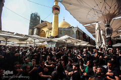 حرم امام علی(ع) در آستانه اربعین حسینی