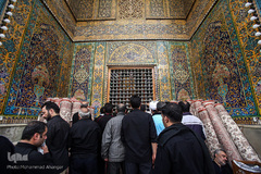 حرم امام علی(ع) در آستانه اربعین حسینی