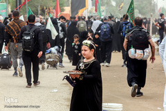 قدم به قدم از نجف تا کربلا