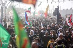 قدم به قدم از نجف تا کربلا