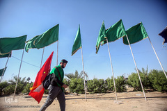 قدم به قدم از نجف تا کربلا