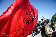 قدم به قدم از نجف تا کربلا