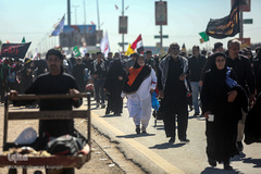 قدم به قدم از نجف تا کربلا