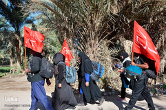 پیاده‎روی اربعین از طریق العلما