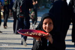 پیاده‎روی اربعین از طریق العلما