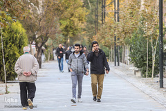 تنهاییِ همراهی