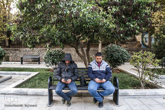 تنهاییِ همراهی