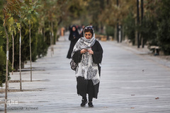 تنهاییِ همراهی