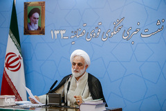 یکصد و سی سومین نشت خبری سخنگوی قوه قضائیه