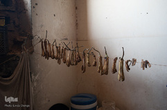 بادمجان‌های خشک شده برای زمستان؛ غذای آوارگان در حریجیه اغلب توسط نیروهای دموکراتیک سوریه از پایگاه نظامی نزدیک تامین می‌شود.