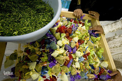 جشن اسلامی «رمپایز اسنای» در آفریقای جنوبی شامل خرد کردن برگ‌های لیمو و پرتغال، ریختن آنها در گلاب و آبلیمو و بسته بندی آنها در بطری‌های کوچک برای هدیه دادن به مردم است. 