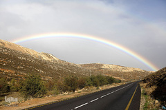 رنگین کمان زیبا پس از باران در کرانه غربی فلسطین، نزدیکی روستای Teqau ظاهر شد است.