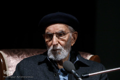 محمدعلی موحد، مولاناشناس و شمس‌شناس