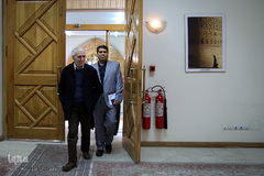 غلامحسین ابراهیمی‌دینانی در همایش «ابن‌سینا و حکمت مشرقی»