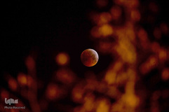 ابرماه گرفتگی خونین معروف به ابرماه گرگ خونین، ۱ بهمن‌ماه