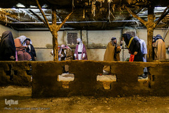 افتتاح نهمین نمایشواره «کوچه‌های بنی‌هاشم»